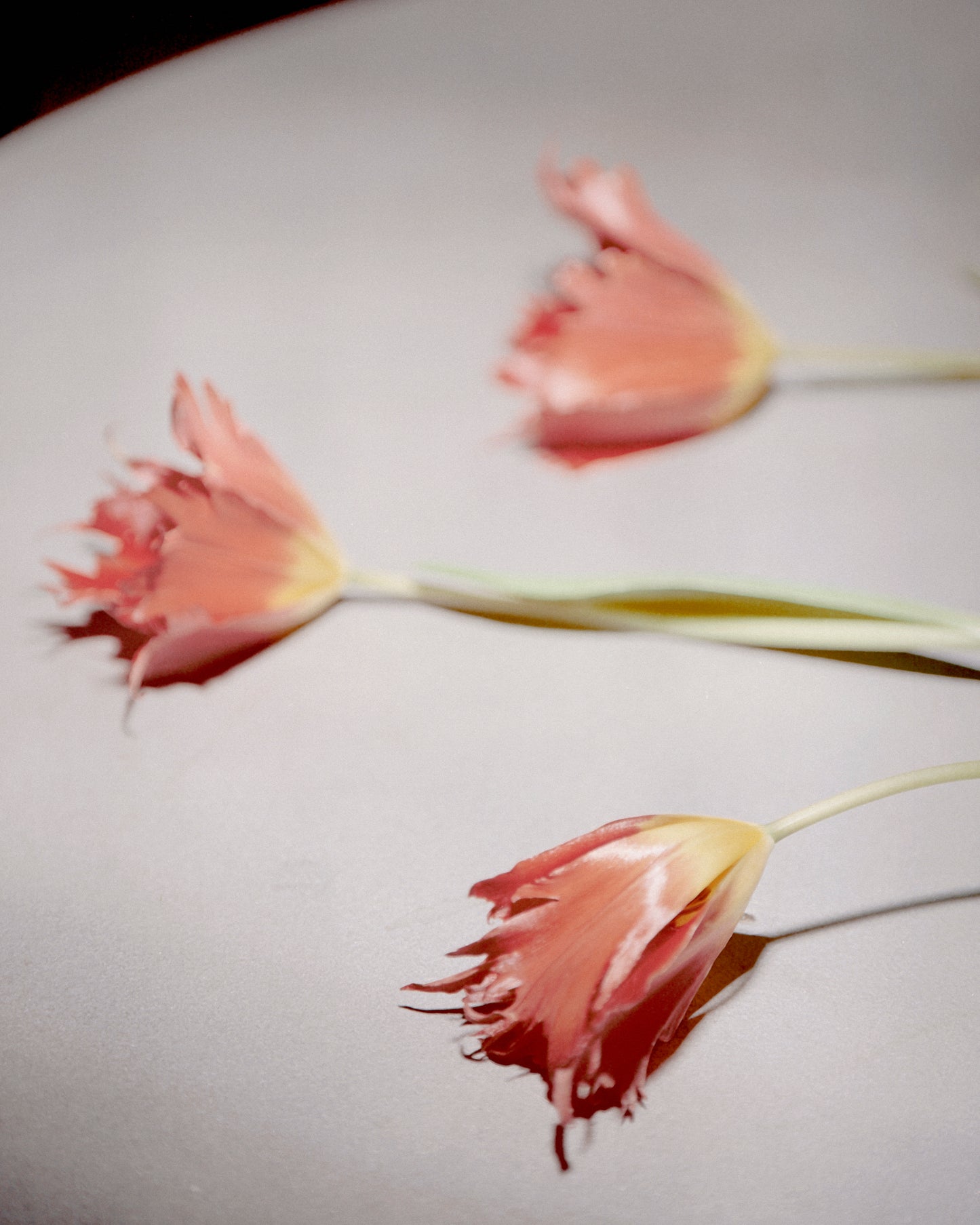Handtied Bouquet Workshop